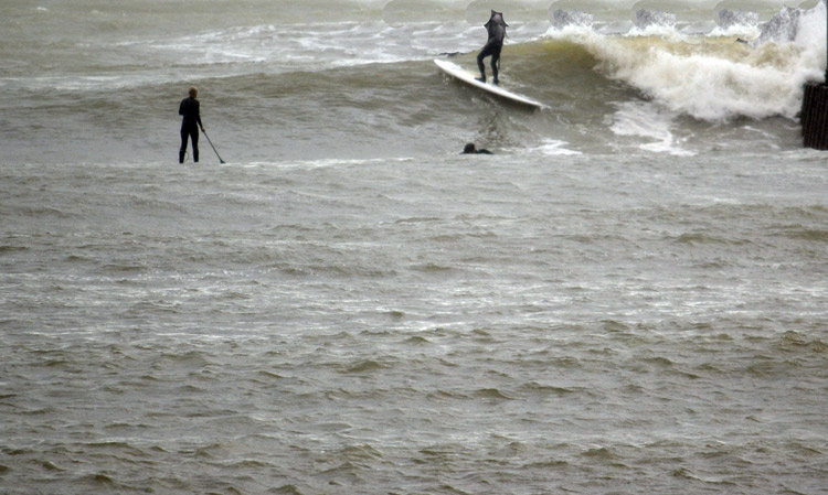 surf pics