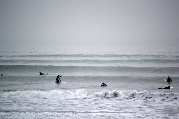 surfing wittering