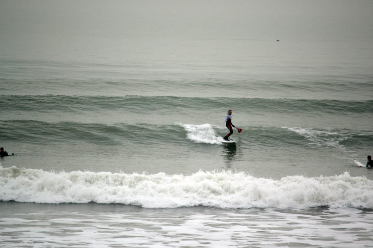 Surfing in Sussex
